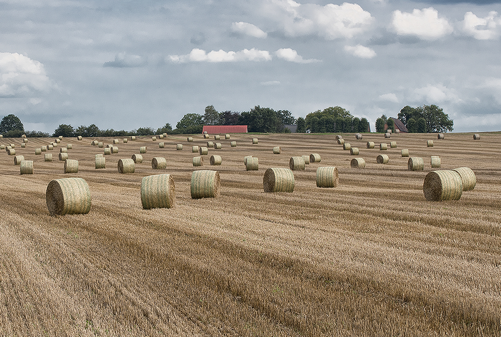 Schleswig Holstein Ostsee 09_2015 KA7_3665 als Smartobjekt-1 Kopie.jpg - Aud der Weiterfahrt sehen wir immer wieder solch  schöne Landschaftsbilder 